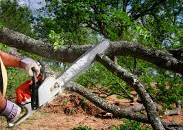 Lawn Irrigation Installation and Maintenance in Sleepy Hollow Lake, NY