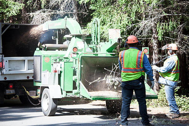 Best Utility Line Clearance  in Sleepy Hollow Lake, NY