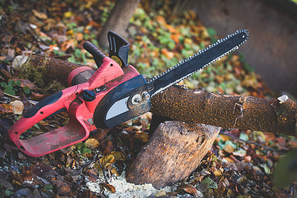 How Our Tree Care Process Works  in  Sleepy Hollow Lake, NY